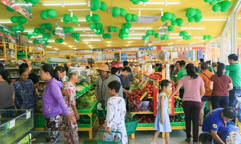 Thị trường tỉnh sẽ là ‘gà đẻ trứng vàng’ cho Bách hóa Xanh