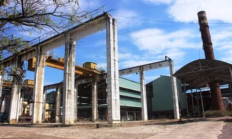 Ông chủ Ấn Độ 'biến mất', hơn 300 người truy tìm đòi nợ tiền tỷ