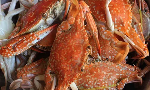 Mỹ 'chê' ghẹ Trung Quốc, tìm mua ghẹ Việt: Trong nước ăn còn chưa đủ!