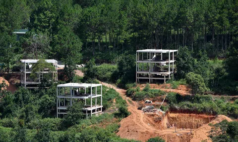 Nhiều dự án bất động sản sai phạm ‘bao vây’ hồ Tuyền Lâm ở Đà Lạt