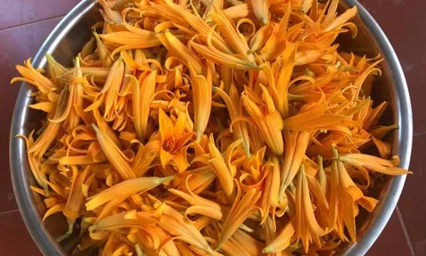 Hoa hiên mùa hè giá tiền triệu, đặc sản mỗi năm chỉ có một lần