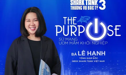 CEO TVHub bật mí những ‘bí mật’ không ngờ về hậu trường Shark Tank VN: Khó tuyển và giữ Shark, bị cạnh tranh với quỹ nước ngoài, startup ít khác biệt và đột phá