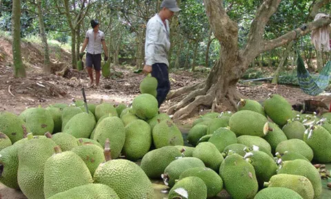 Trung Quốc quyết định làm lớn, hàng vạn dân Việt lo sốt vó