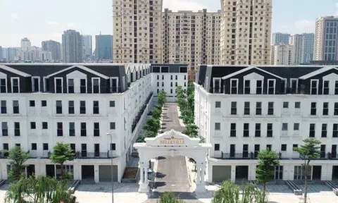 Từ một đại gia dược, Vimedimex Group đã thâu tóm và phát triển các dự án đất vàng như thế nào sau 3 năm lấn sân BĐS?