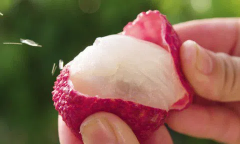 Có gì đặc biệt ở giống vải thiều Nhật Bản đắt nhất thế giới? 240 nghìn đồng mới mua được 1 quả, ăn một lần nhớ cả đời