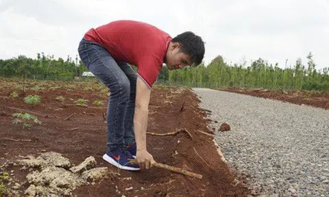 Địa ốc Alibaba: Đụng đâu sai đó