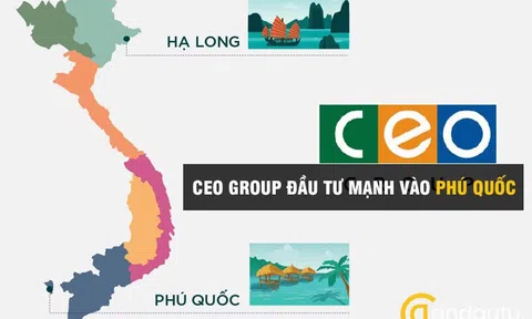 CEO Group bị truy thu 2,8 tỷ đồng do gian lận thuế