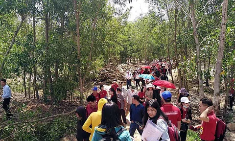 Khu đô thị Singapore ở Bình Thuận mà Alibaba đang rao bán thực chất là dự án “ma”