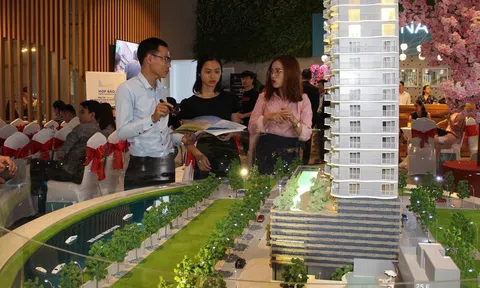 Môi giới bất động sản chộp giật, vi phạm pháp luật khá phổ biến