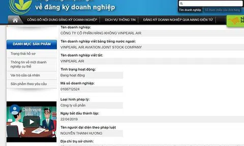 Cục Hàng không chưa nhận được hồ sơ của Vinpearl Air