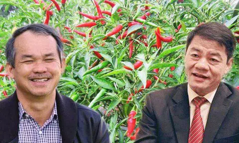 Chuộc nợ ngàn tỷ từ ngân hàng, Bầu Đức vào vận xuân mới