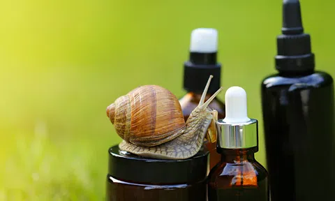 Ngành công nghiệp mỹ phẩm từ ốc sên: Trị giá trăm triệu USD, chất nhờn còn quý hơn vàng, nông dân hưởng lợi lớn