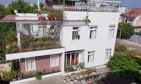 Sở hữu sân thượng rộng đến 200m², mẹ đảm ở Sài Gòn khiến nhiều người bất ngờ với 'trang trại' rau quả tự trồng