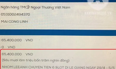 Bi hài chuyện mua tour 'ma', mất cả trăm triệu đồng rồi du lịch... tại gia