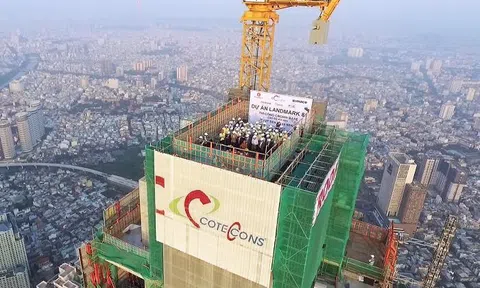 Lợi nhuận quý 2/2019 của Coteccons giảm 70%, thấp nhất 5 năm qua