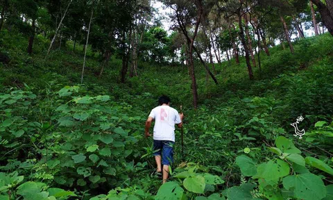 "Bồ kết gội đầu, nước trầu súc miệng" và chuyện CEO trẻ bỏ phố về rừng, kinh doanh sản phẩm làm đẹp không hóa chất, phụng dưỡng tự nhiên