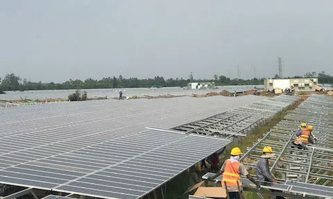 Ồ ạt đầu tư điện mặt trời khiến lưới điện quá tải