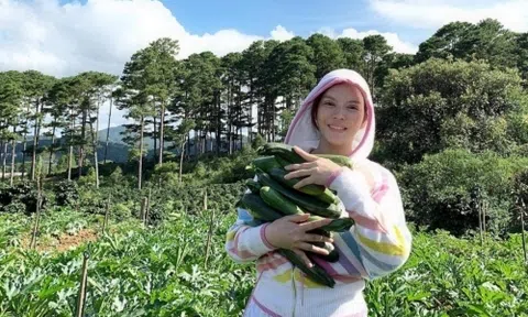 Mua 50 hecta đất Đà Lạt, tài sản của Lý Nhã Kỳ đồ sộ cỡ nào?