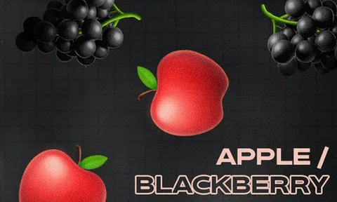 Bài học để đời: Giữa Apple và BlackBerry, kẻ thua cuộc là kẻ không dám... tự bắn vào chân mình