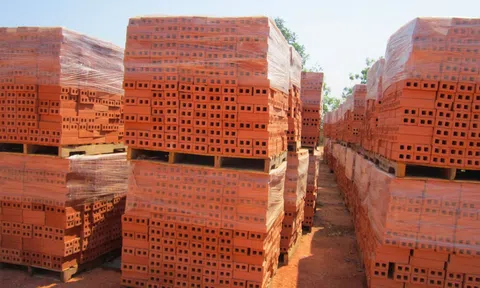 Người của ông Nguyễn Duy Hưng SSI làm Chủ tịch công ty sản xuất gạch vừa lên sàn của FLC