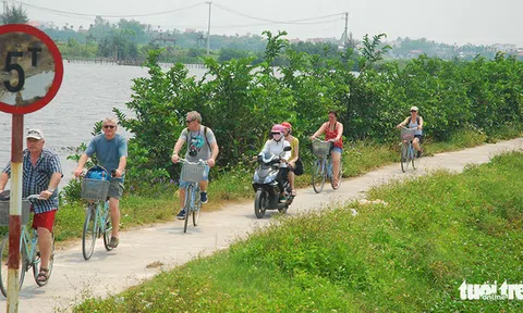 Nhà nhà đua làm Homestay rồi ngồi than lỗ