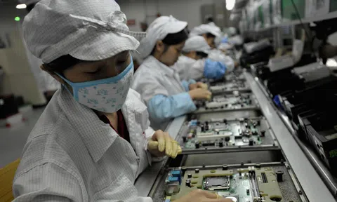 'Nhiều người đi làm khôn vặt và ảo tưởng nhưng luôn đòi lương cao'