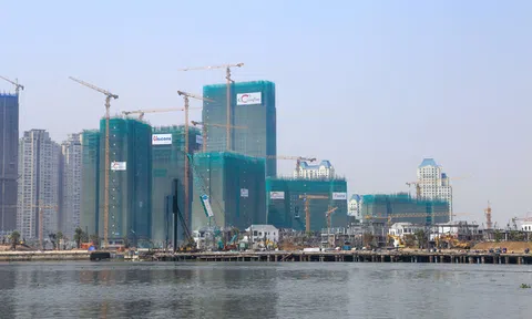 Nhìn Ricons tăng trưởng trong khi Coteccons chững lại, Kusto có tiếc nuối?