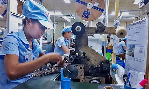 Mỗi lao động Việt làm ra 102 triệu/năm, bằng 1/30 Singapore