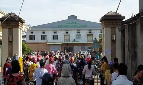 Chủ doanh nghiệp rời nhà máy, hơn 2.000 công nhân hoang mang