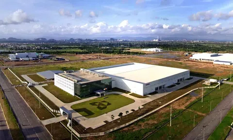 Hai tập đoàn lớn của Nhật bỏ Trung Quốc chuyển sang Việt Nam