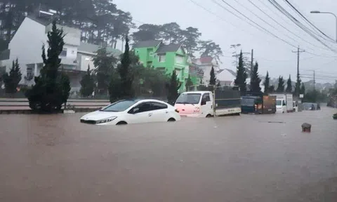 Đà Lạt, Phú Quốc chìm trong biển nước do 'nhà đầu tư quá tham lam'?