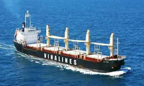 Vinalines lại thua lỗ nặng, 'gánh' lỗ lũy kế 'khủng' vượt 3.600 tỷ đồng