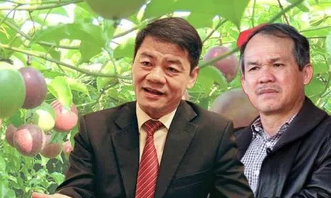 Lý do bầu Đức liên tục bán tài sản