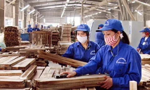 Thương hiệu Việt vang bóng một thời: Từ vị thế số một và cú ngã quỵ của Gỗ Trường Thành