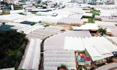 Tư duy mét vuông chặn đường thoát lũ: Tiểu Paris bị 'bóp chết'