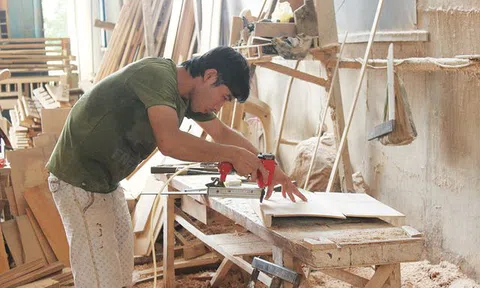 Trung Quốc xuất khẩu lượng lớn gỗ vào Việt Nam, Bộ Nông nghiệp cảnh báo