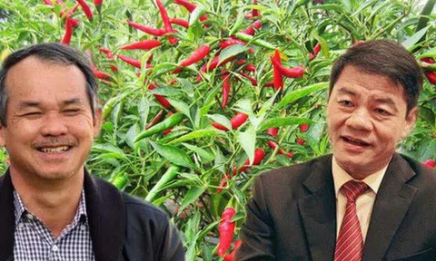 Thaco và các cá nhân liên quan liên tục gia tăng tỷ lệ sở hữu, liệu "bầu Đức' có mất quyền kiểm soát tại công ty CP nông nghiệp quốc tế Hoàng Anh Gia Lai?