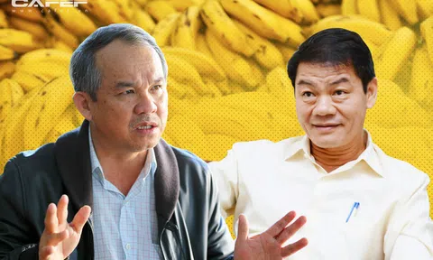 "Chuyện tình tỷ đô" giữa THACO – HAGL một năm nhìn lại