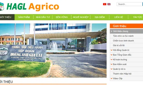 Sắp có một HAGL Agrico rất khác và chủ khác?