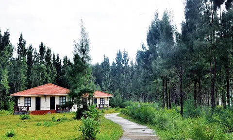 Sudico và 'nỗi buồn' về loạt dự án 'treo' hơn thập kỉ, có nguy cơ bị thu hồi