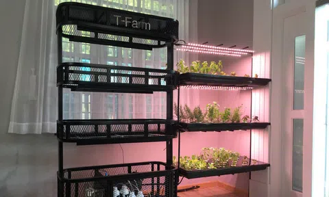 Ý tưởng đem vườn vào nhà táo bạo của startup 9x: Bước ngoặt từ vụ tai nạn và hành trình “đốt” 14 tỷ trong 3 năm