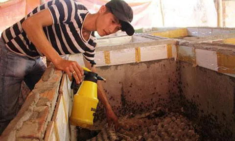 Quảng Nam: 9x bỏ việc làm lương ổn định để về quê làm giàu từ… sinh vật 'lạ'