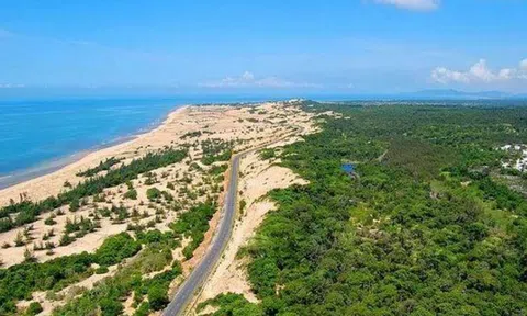 Thường vụ Tỉnh ủy Bà Rịa – Vũng Tàu ủng hộ phương án đầu tư dự án Safari Hồ Tràm của Novaland