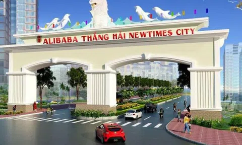 Trót xuống tiền vào các dự án 'ảo' của Alibaba, nhà đầu tư phải làm gì?