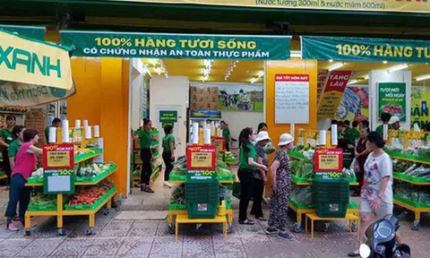 Bách Hóa Xanh vừa có tháng mở rộng mạnh nhất từ trước đến nay: Mỗi ngày mở 2 cửa hàng, ngang ngửa thời kỳ bùng nổ của chuỗi Thegioididong.com