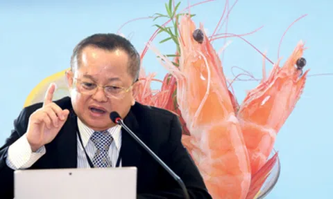 Ông Lê Văn Quang: Vẫn chưa có cuộc điều tra chính thức nào về cáo buộc Minh Phú lẩn tránh thuế