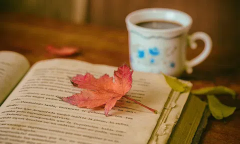 Đọc sách cần sáng suốt: Sách hay thành người tài; sách dở hại bản thân, hại luôn cả người khác