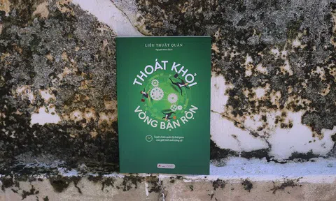 Người khôn ngoan nắm bắt cơ hội, người thành công tạo ra cơ hội: Năng lực hạn chế nhưng nỗ lực vô cùng, chắc chắn được đền đáp!