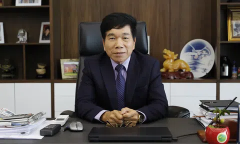 Nhà thầu xây dựng Việt ở thế “con kiến leo cành đa”