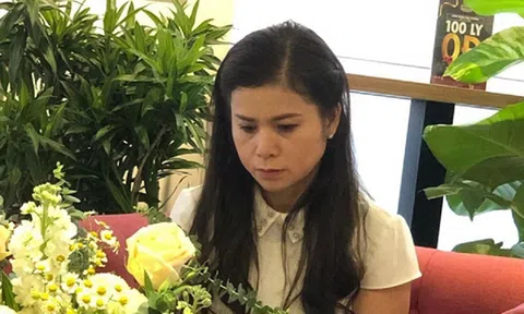 Bà Lê Hoàng Diệp Thảo tố bản án sơ thẩm bị mua chuộc: Giống đến hơn 95% nội dung phía ông Vũ đưa lên tòa, đến nỗi thẩm phán còn đọc sai?!